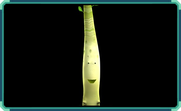 Pousseline celeri2